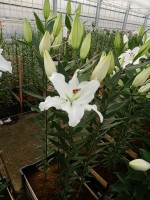 [5292 Pacific Ocean No02.JPG]